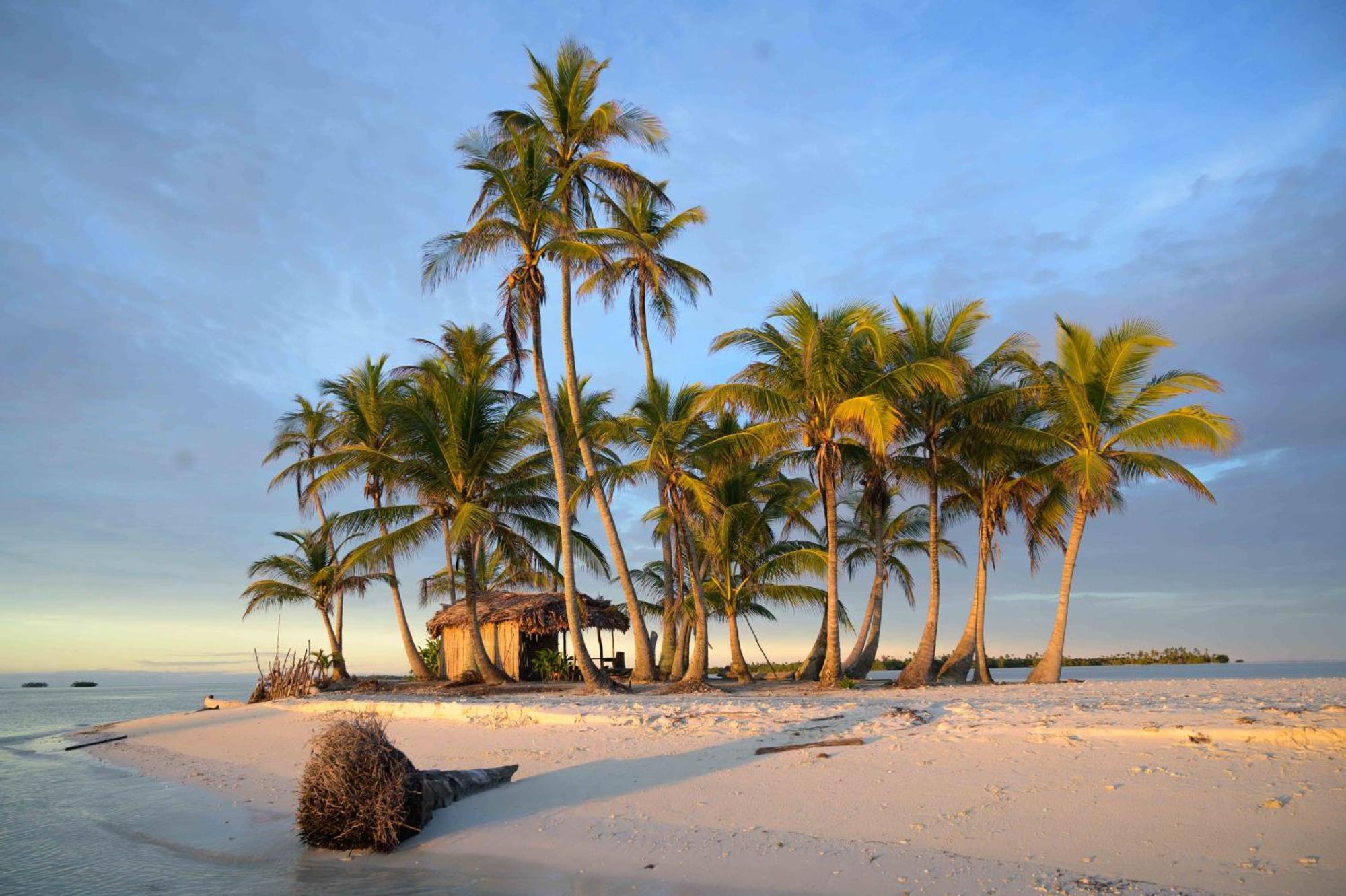 Sanblasonsailboats El Porvenir Rum bild